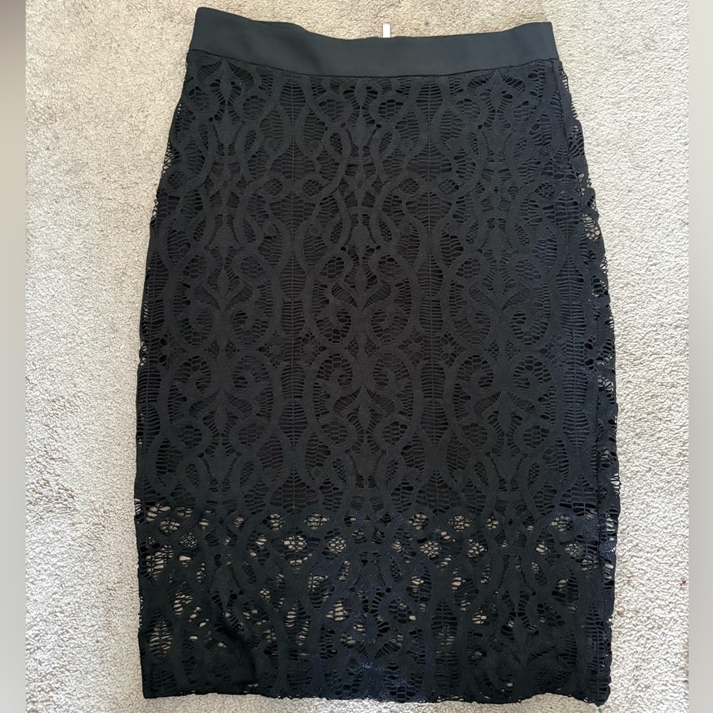 Cache Lace Skirt - Picture 1 of 3